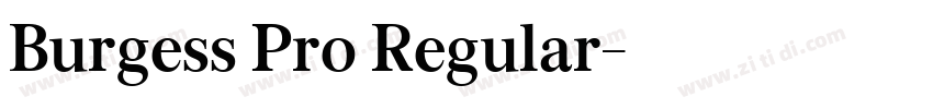 Burgess Pro Regular字体转换 Burgess Pro Regular字体转换